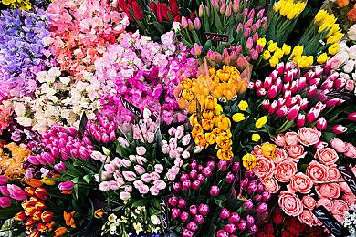 《传送门：同伴合集》年内登陆NS平台 支持本地分屏游玩