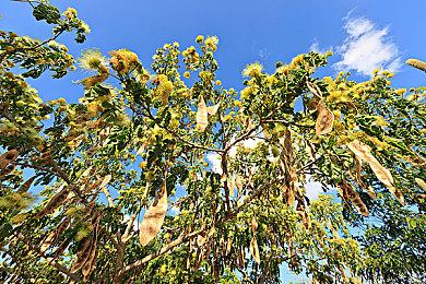 Steam首次提供90分钟试玩 从《死亡空间》开始